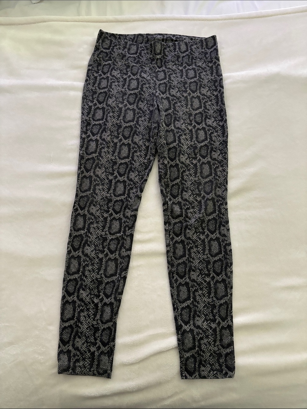 Women’s Snake Print Ponte Knit Pants - Black/Gray